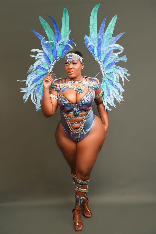 Curvy Option Bodywear With Small Feathers