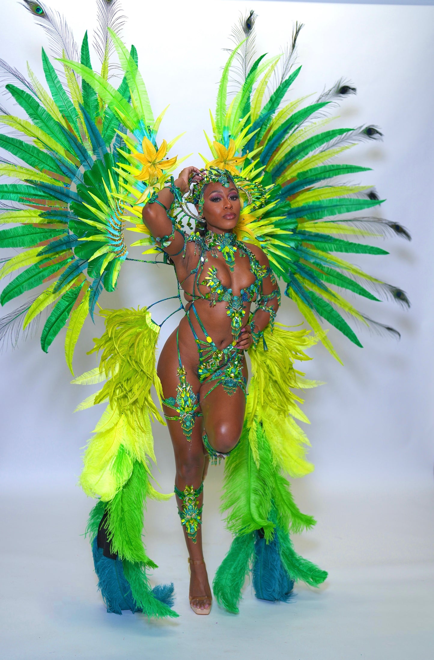 Iris Frontline without Feathers