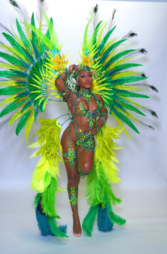 Iris Frontline without Feathers